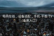 电鸽在线 _ 设备适配 _ 手机-平板-TV（备用入口）