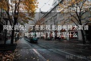 网友调侃：丁冬影视 影音先锋太离谱了，电影里叫丁冬的是什么
