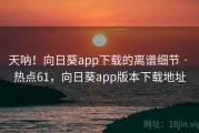 天呐！向日葵app下载的离谱细节 · 热点61，向日葵app版本下载地址