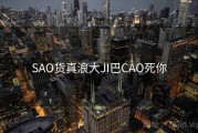 SAO货真浪大JI巴CAO死你