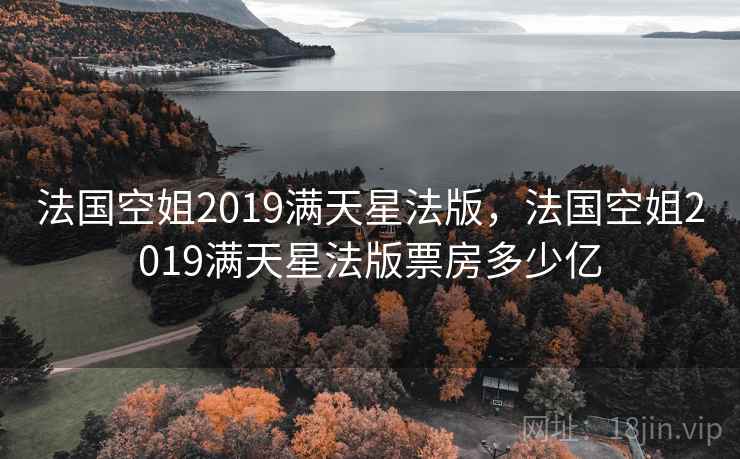 法国空姐2019满天星法版，法国空姐2019满天星法版票房多少亿