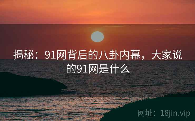 揭秘：91网背后的八卦内幕，大家说的91网是什么