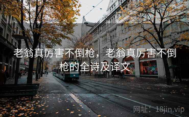 老翁真厉害不倒枪，老翁真厉害不倒枪的全诗及译文